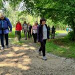15. Wanderung W1: Naumburg Buchholz Rundweg am 11. Juni 2026